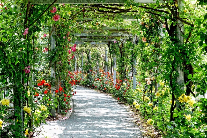 Nature Path